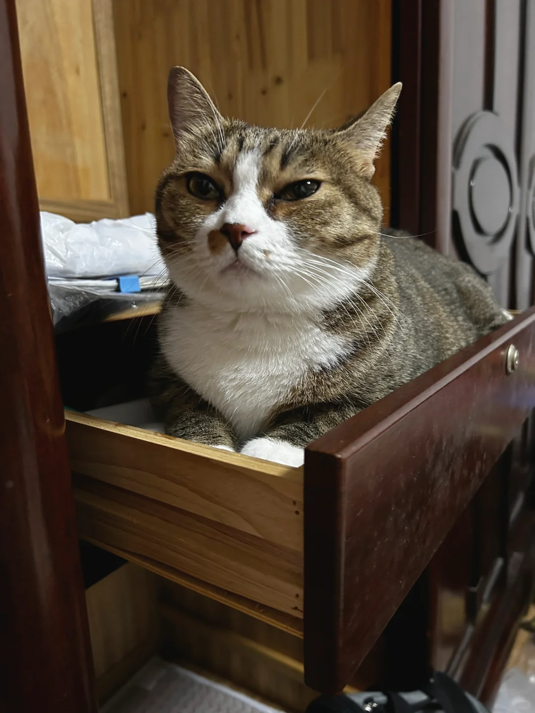 一脸开心