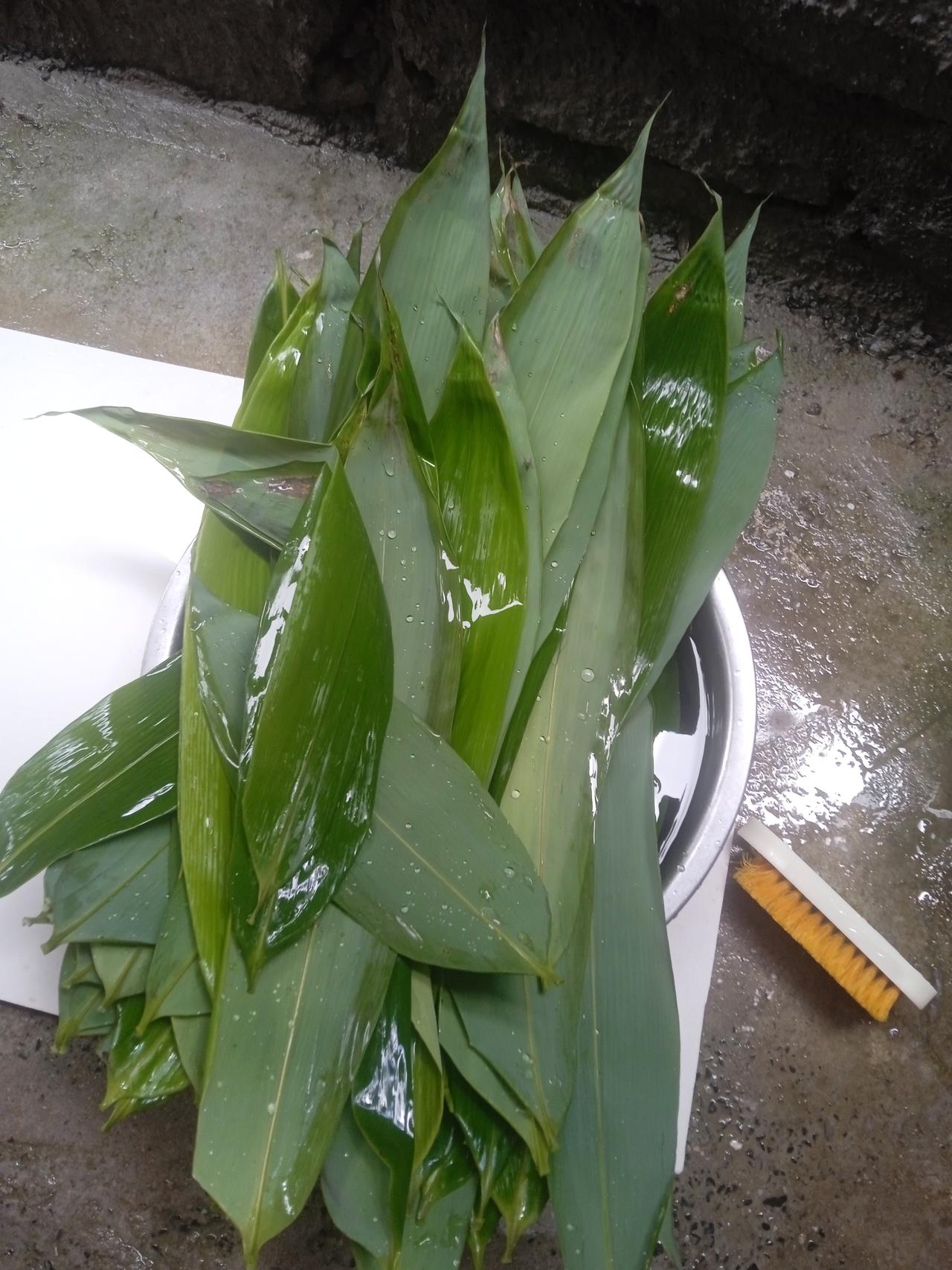 端午安康

五月的雨，漫过河堤
划龙船的汉子，激流勇进
青青艾草，大门边上挂
粽
