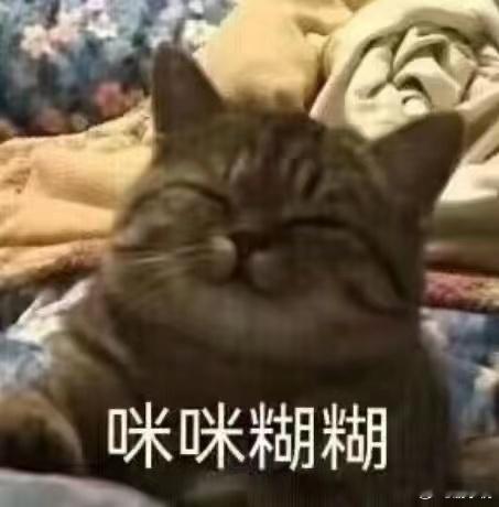 突然发现开车通勤意味着自由握紧方向盘就有种自由的味道，对于通勤来说也是如此，不用