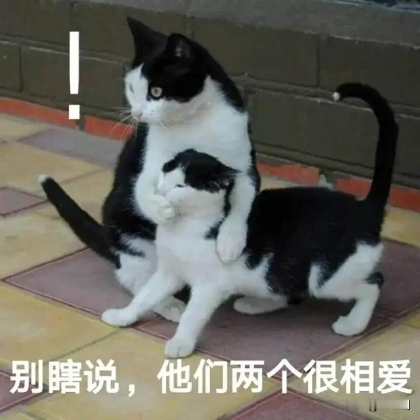 唉呀！犯愁，无意中碰到了一个哥们的媳妇和别的男人在宾馆，刚刚去园林路的一家酒店给
