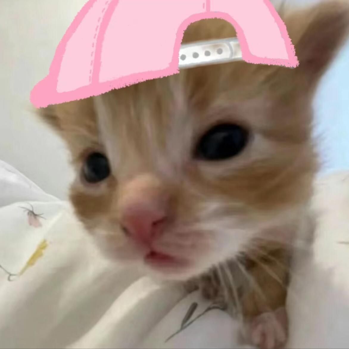 找不同 