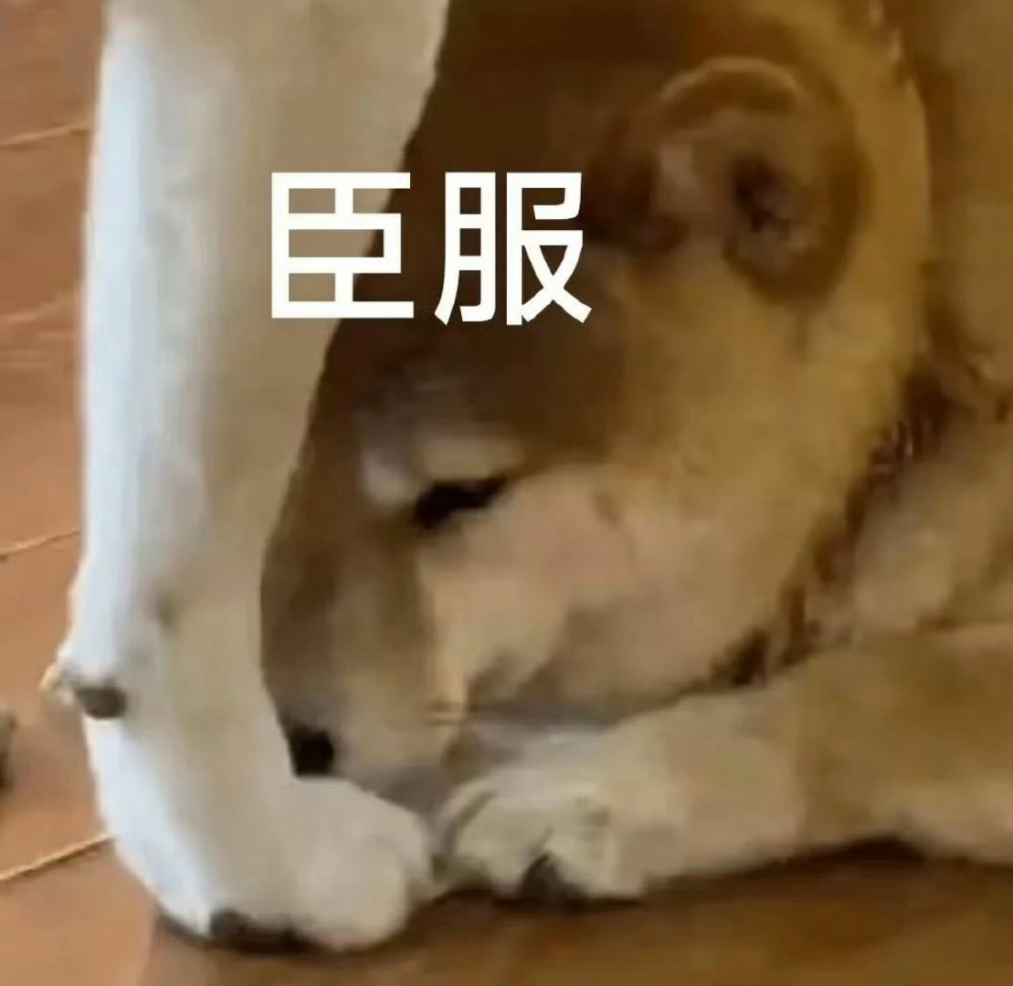 和一起随意🈷️几个水妹，要毒唯要有五大byh和实体的购买📝，huq求卷
