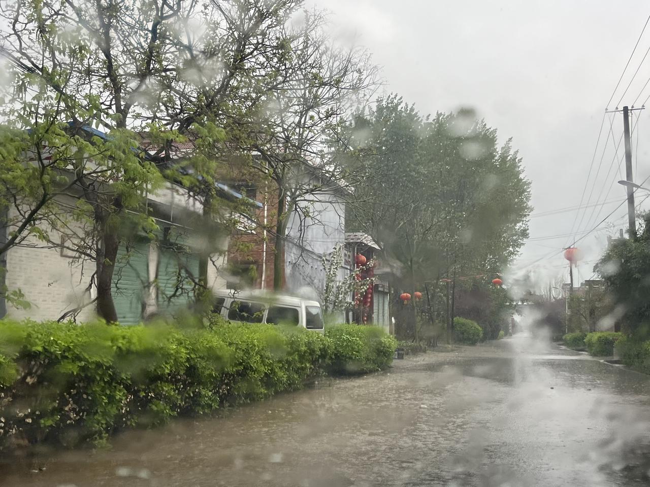 很喜欢下雨天的感觉，雨声滴滴答答，天色昏昏沉沉，空气湿湿润润，感觉最适合睡觉或者