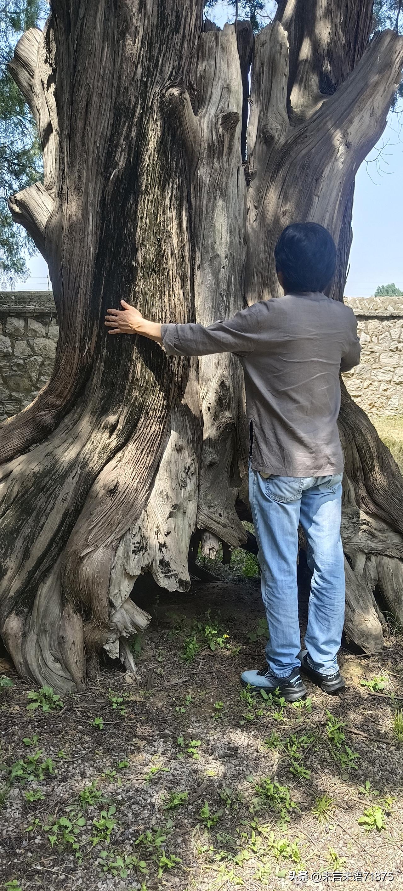 老伴突然提问：你是希望走在我前面还是我后面？
​我斩钉截铁的回答：我在你前面！