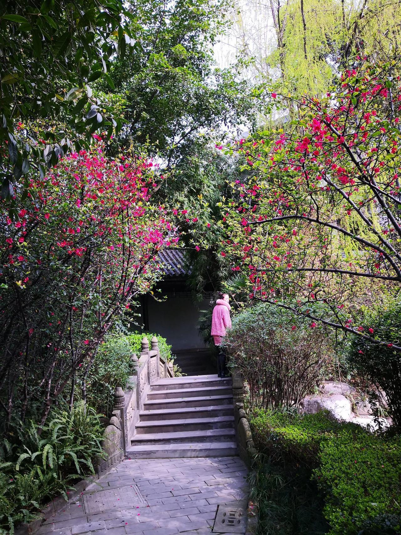 人生经历：一不小心，我成了成都人

前段时间，女儿让我们去成都，把房产证送过去。