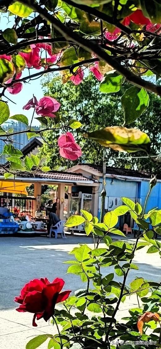 “风轻日暖春分至”，这上联描绘出春分时节风和日丽的美好画面。我来对个下联“雨润花