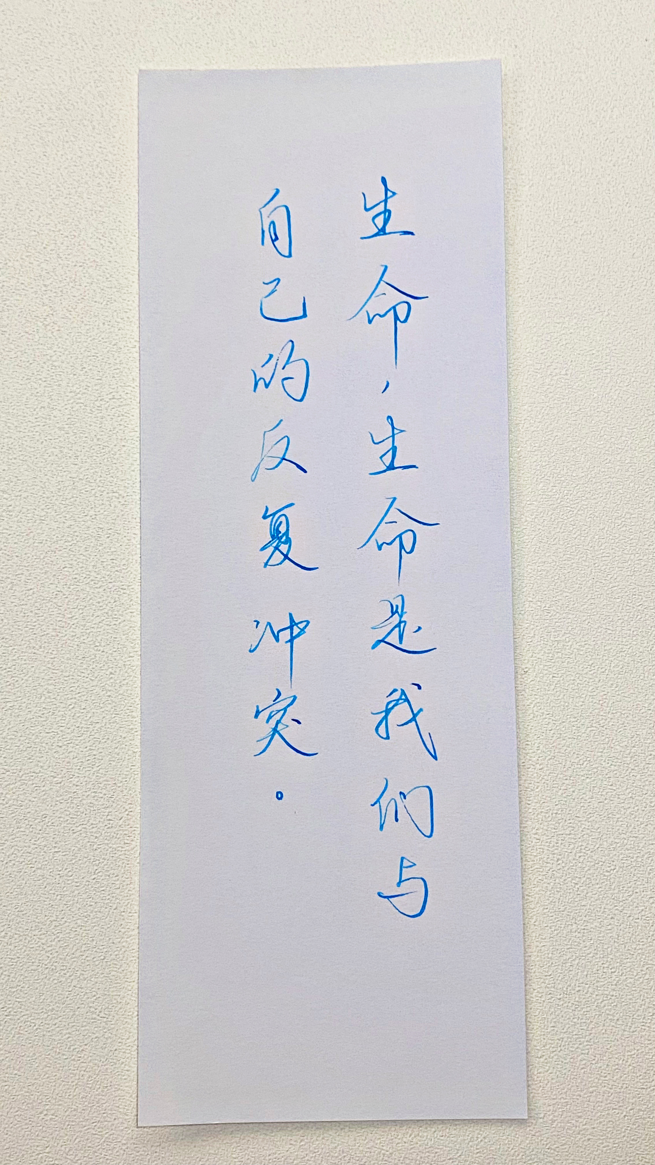 今日作业（2026.7.13）生命，生命是我们与自己的反复冲突。--海子 右四爷
