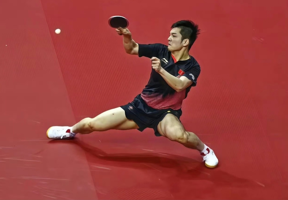 法媒对樊振东的夸赞：樊振东那对钢铁般的大腿！  这个我懂，每次都被樊振东的超低重