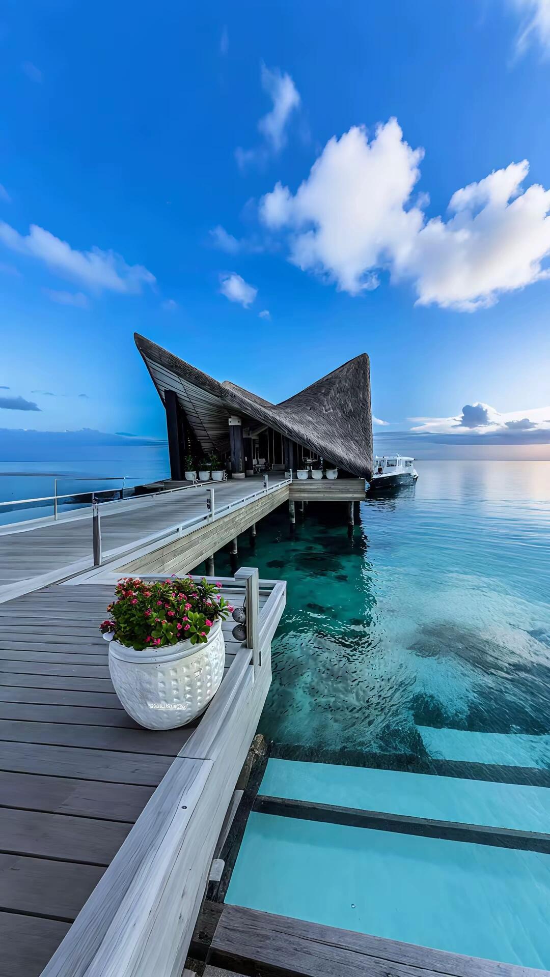 一般大的变局在春季，也就是春节后，机构布局年度计划会大调仓的，到时候抓个合适的板