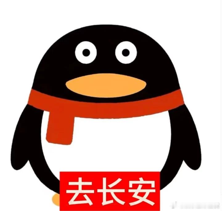 长安那么大吴京带我去看看看了《镖人》的打戏，我才明白什么叫真功夫的魅力！没有特效