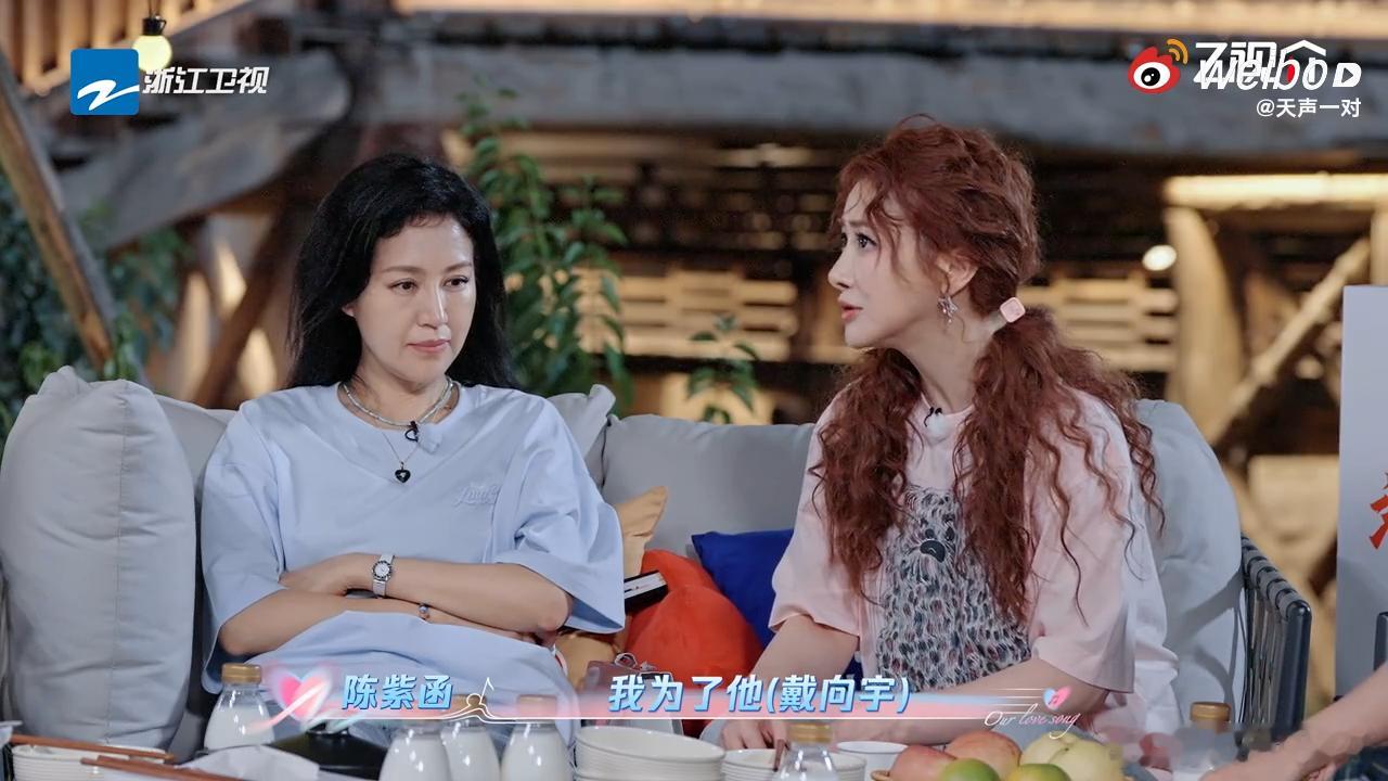 陈紫函3年做了12次试管陈紫函为了戴向宇停工3年做12次试管 ​​​陈紫函在节目
