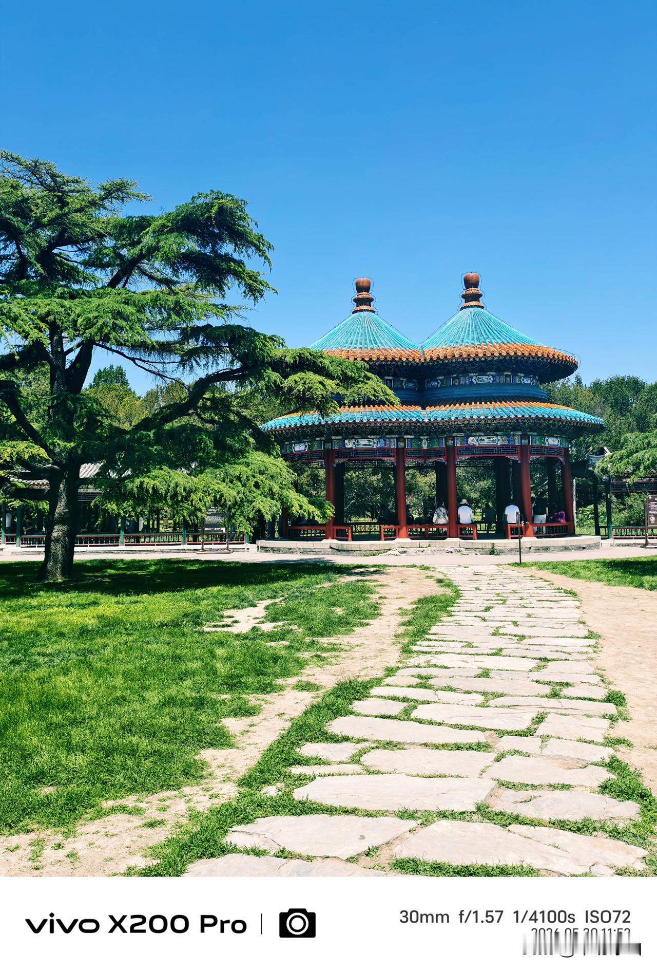 五月北京进入酷热天，天坛公园的绿色屏障，隔断了酷暑炎热，随手一拍，参天大树，绿意