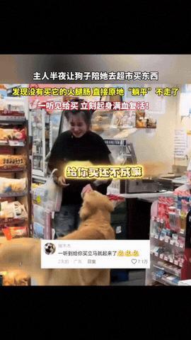“简直成精了！”一女子带着狗狗去超市买东西，狗狗一开始可开心了，跟着主人屁股后就