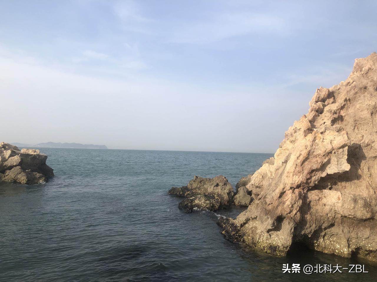 本周三发行的新股会是哪一只？

申购完隆源股份，我们该关注下一只会是谁了。截至目