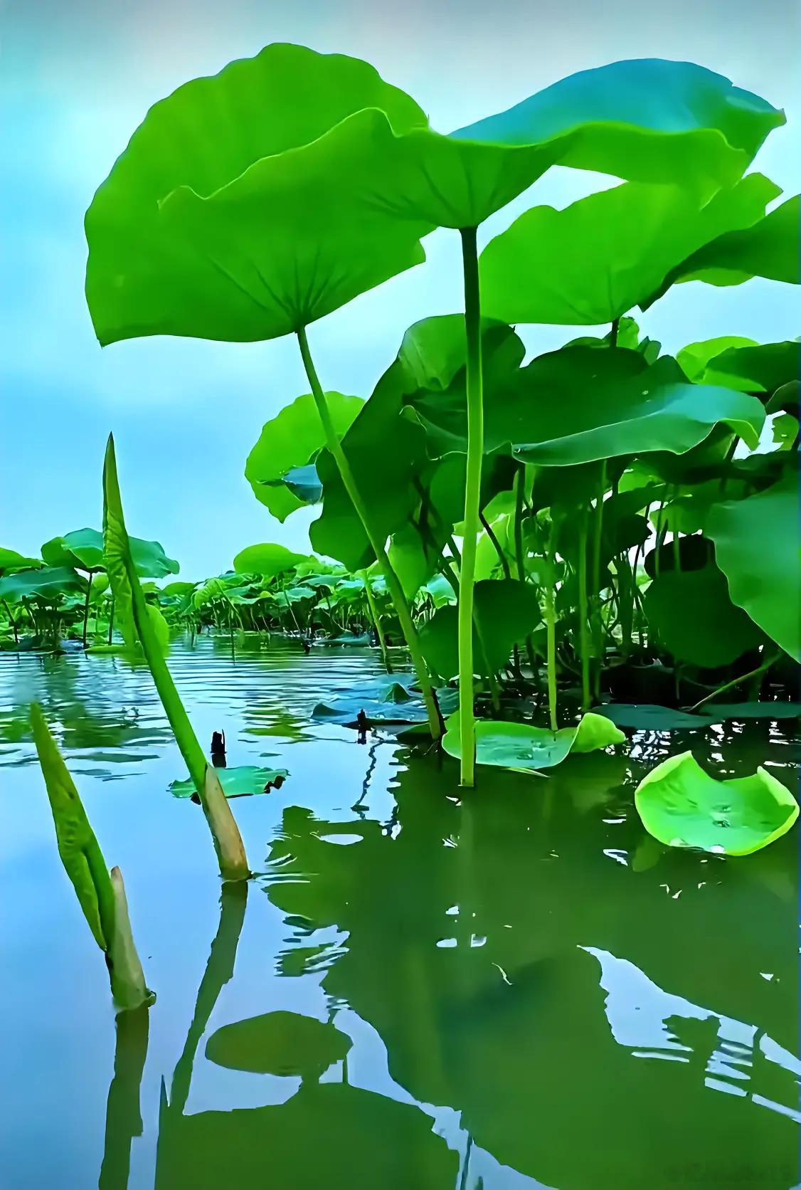 这6个“小病”，可能是癌症来临的预警，尽量别拖成“大病”1、感冒。感冒是很常见的