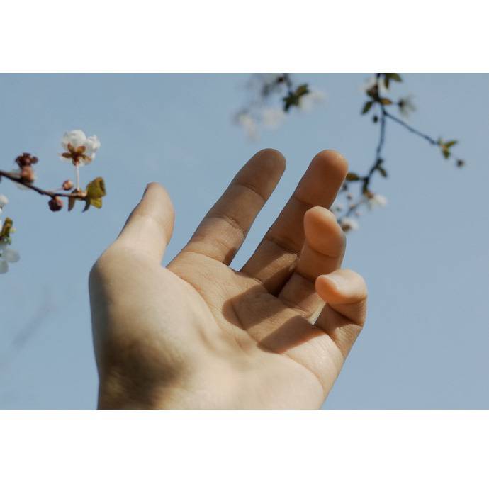 "人最终喜爱的是自己的欲望不是自己想要的东西" ​​​​