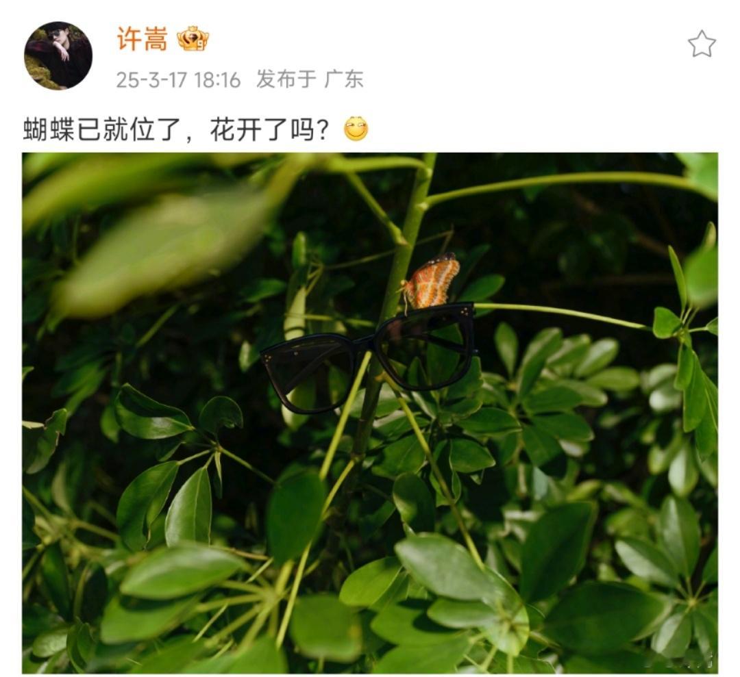 许嵩问花开了吗许嵩：“蝴蝶已就位了，花开了吗？[笑而不语] ”好有意境的一张照片