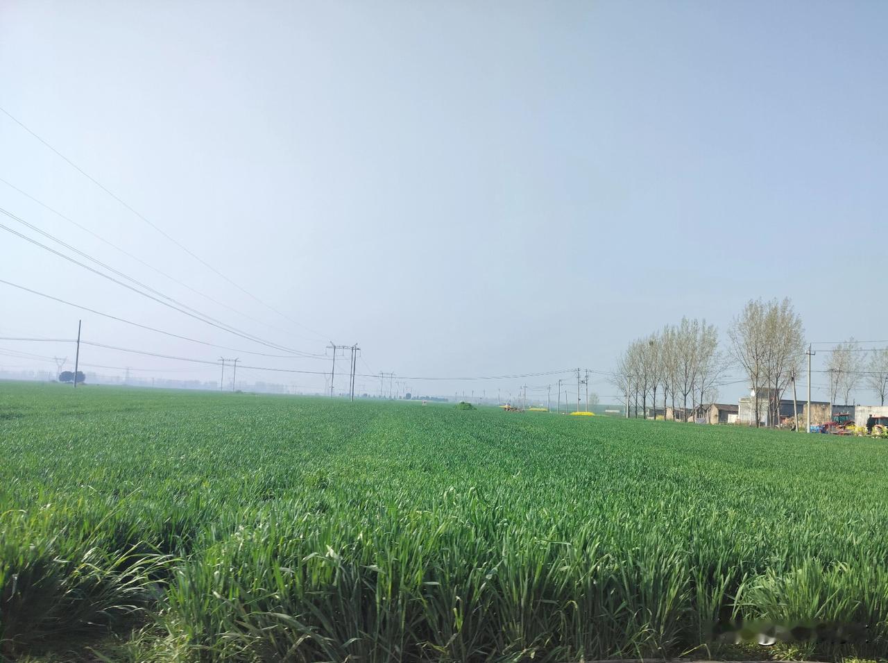 今天二月廿五，老话说：不怕阴就怕晴，啥讲究




今天农历二月廿五，老祖宗留下