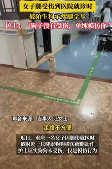 “真成精了？”9月11日重庆一女子因腿部受伤去医院治疗，突然她看见有只狗狗一瘸一