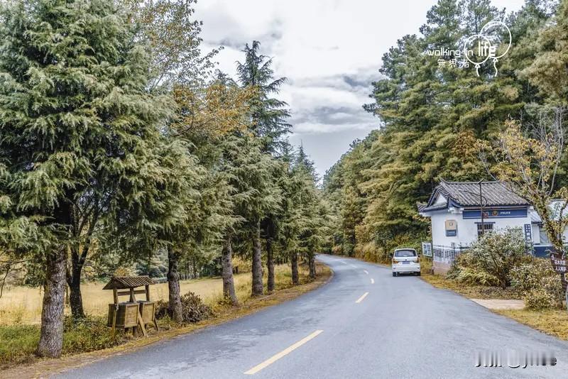 上联：不惹人间桃李色，下联才友请只怀岭上柏松情