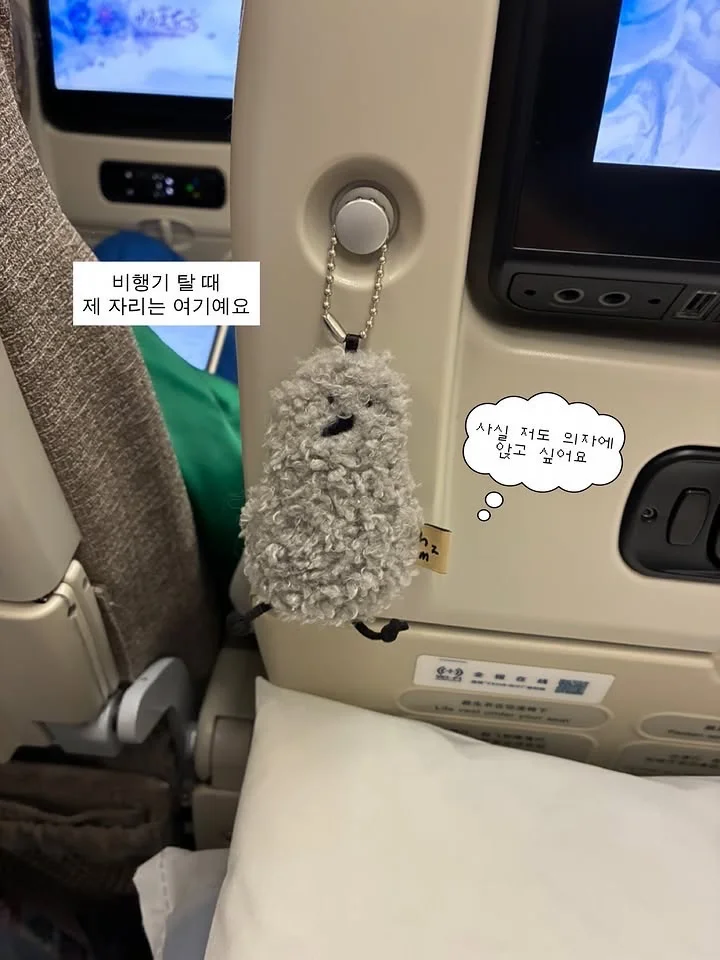 今天的出行搭子是🐦我们在海外旅行很开心～