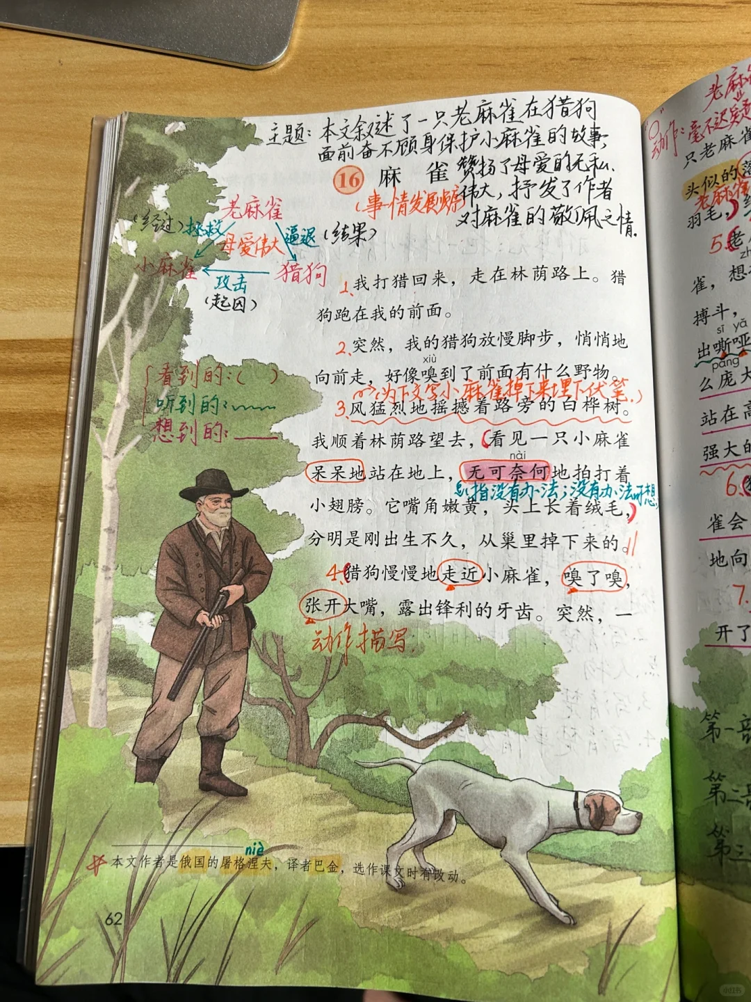 四上语文备课 16.《麻雀》