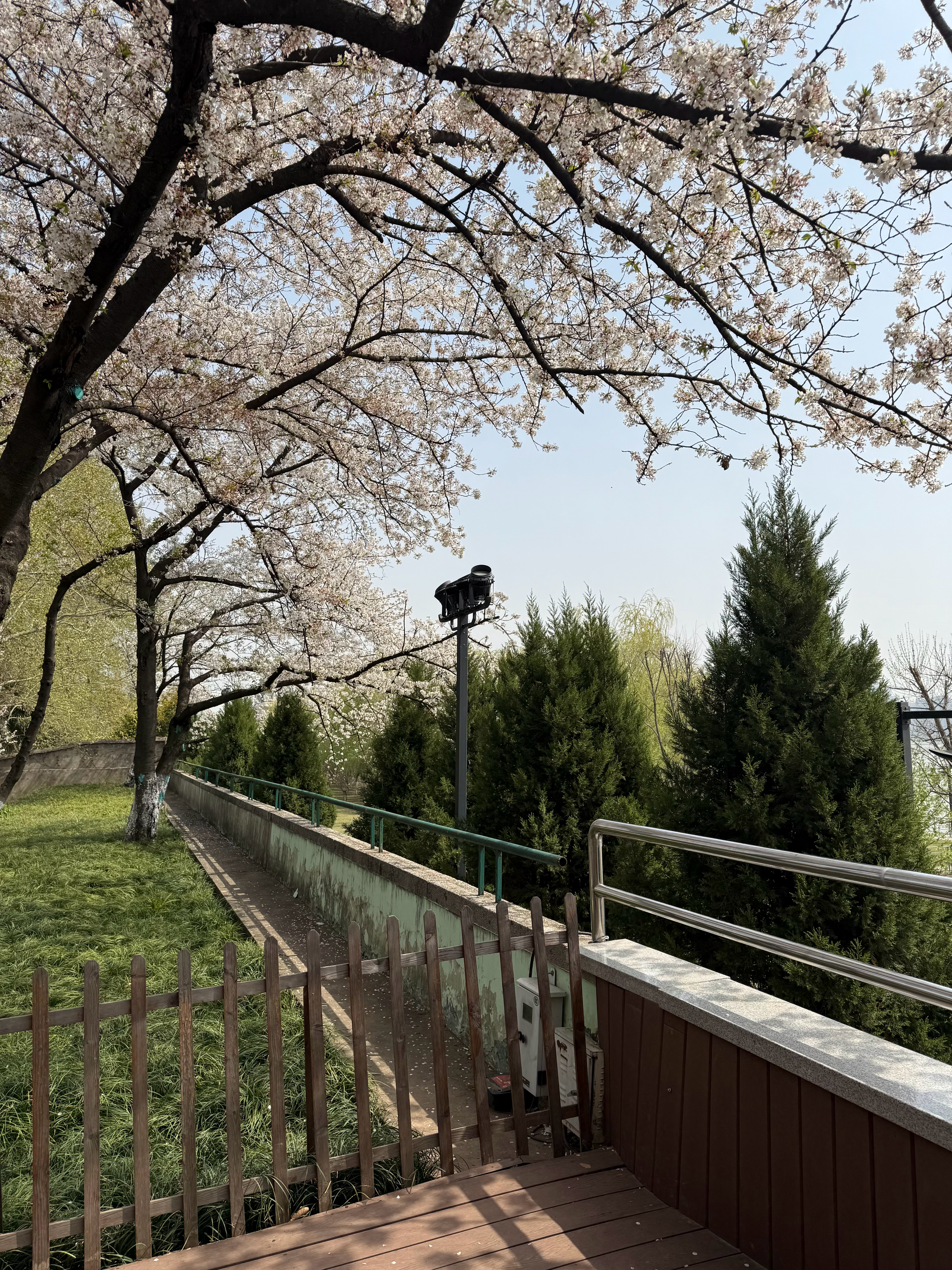 人類需要綠色 ​​​