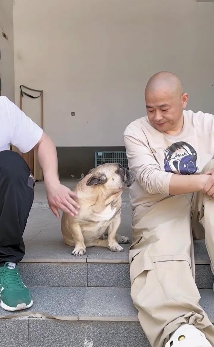 你老看我，你跟他干，我能替你咬他。