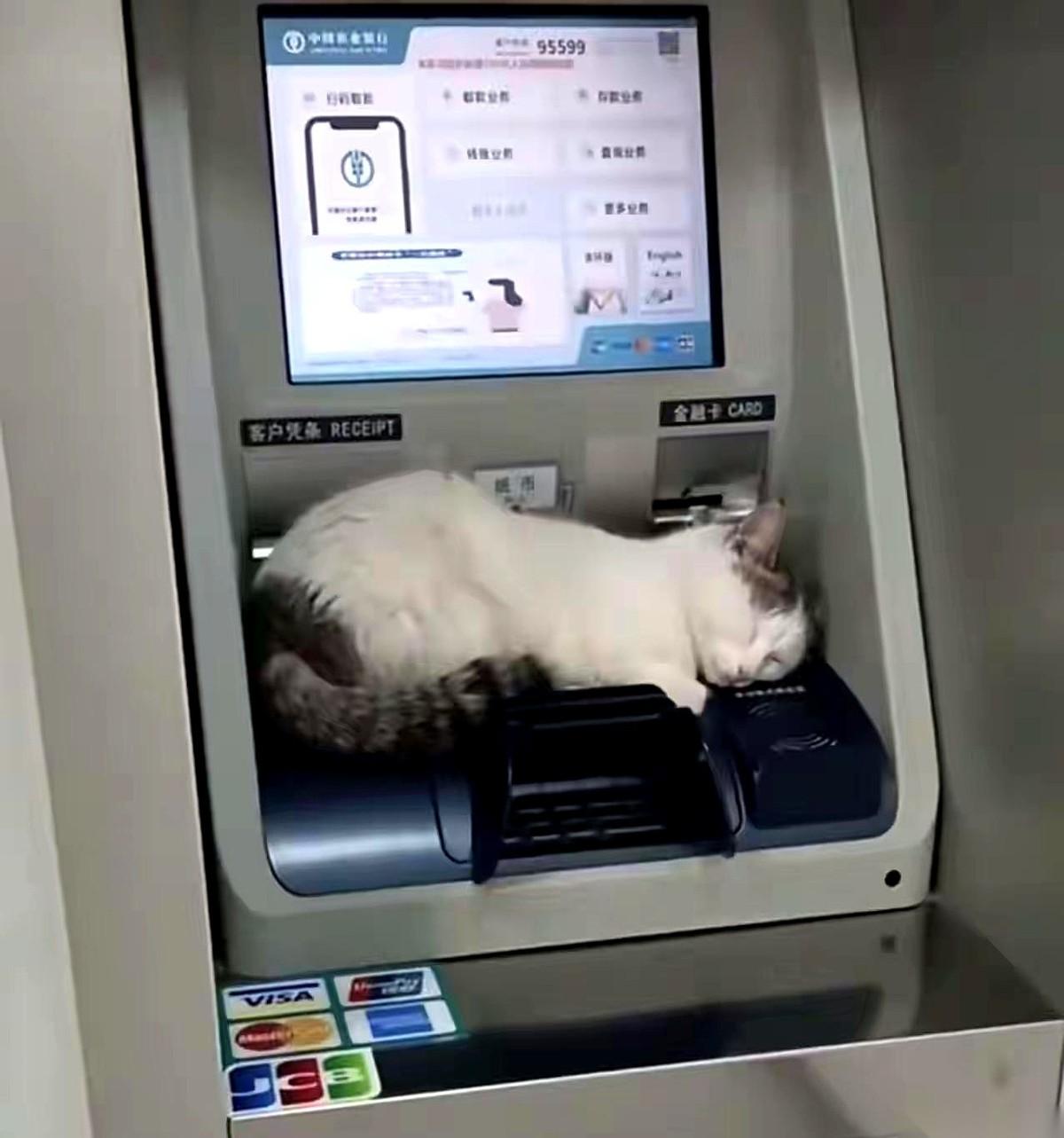 我可能是第一个，因为取了两万块钱，差点把“亲儿子”弄丢的人。
真的，就刚刚，我把