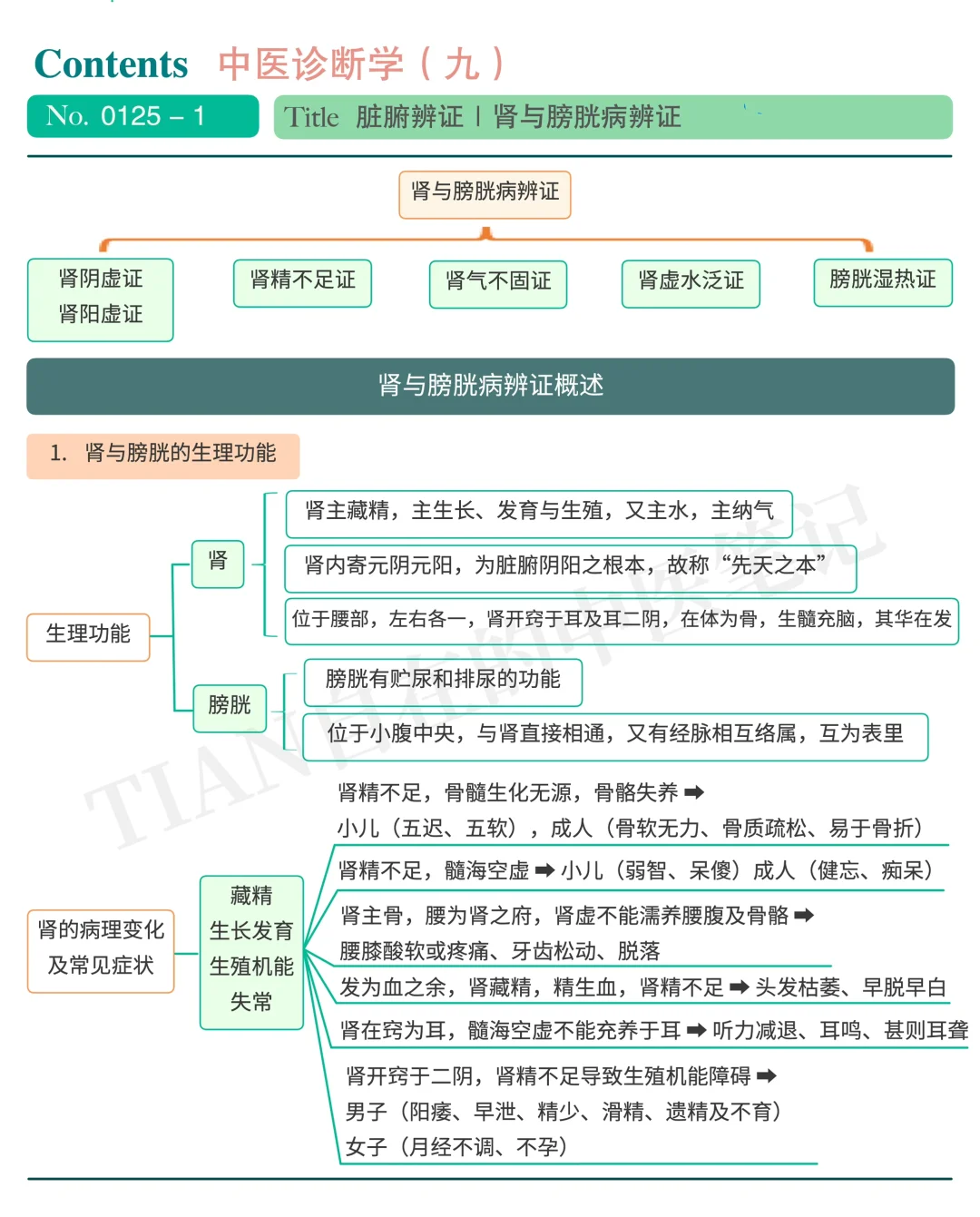 一起学中医｜第125天｜一口气学完肾与膀胱病