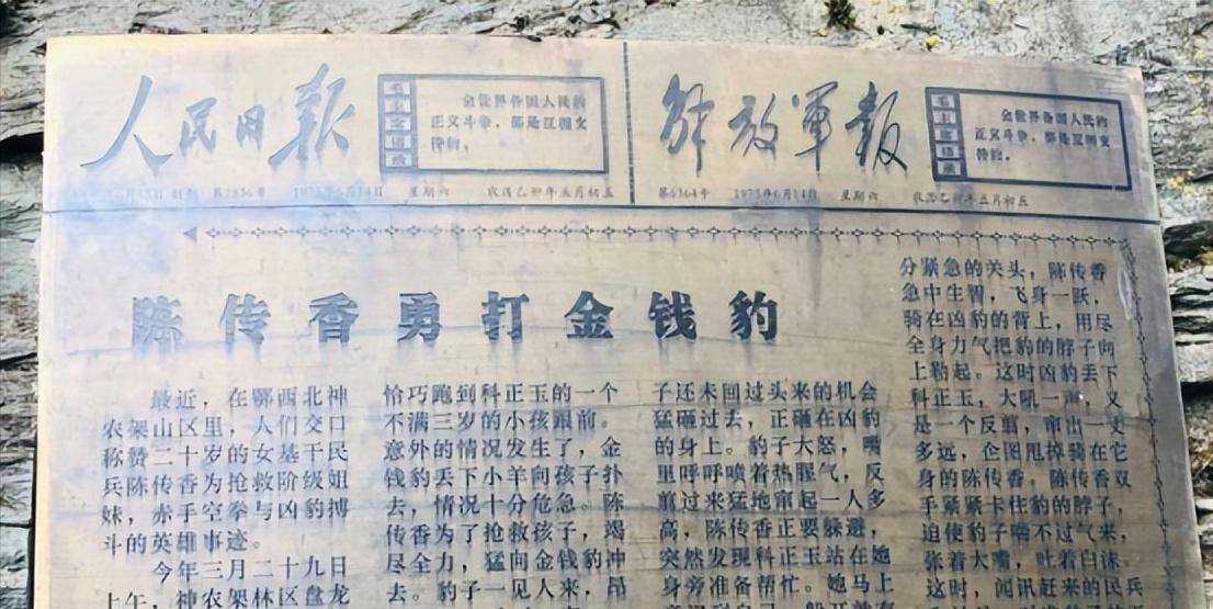 故事发生在1975年，位于我国湖北神农架。

社员们蹲在豹子垭的坡地上采土豆，柯