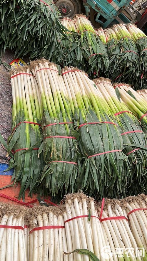 山东大葱好便宜啊，我们这里几乎走上大半个城，最贱也得2元钱每斤，3、5一斤的屡见