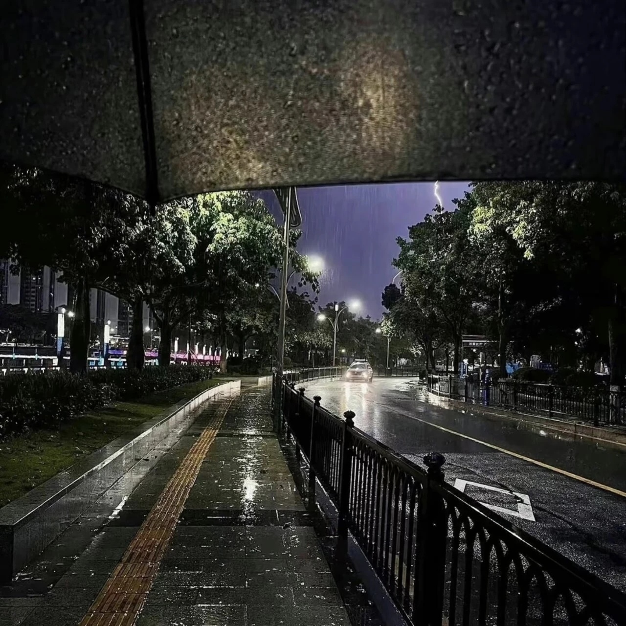 等你，在雨中，在造虹的雨中蝉声沉落，蛙声升起一池的红莲如红焰，在雨中，  你来不