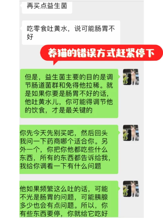 又是猫咪常见问题：吃完零食呕吐！朱竹提醒铲屎官们，不要吃零食，不要吃...