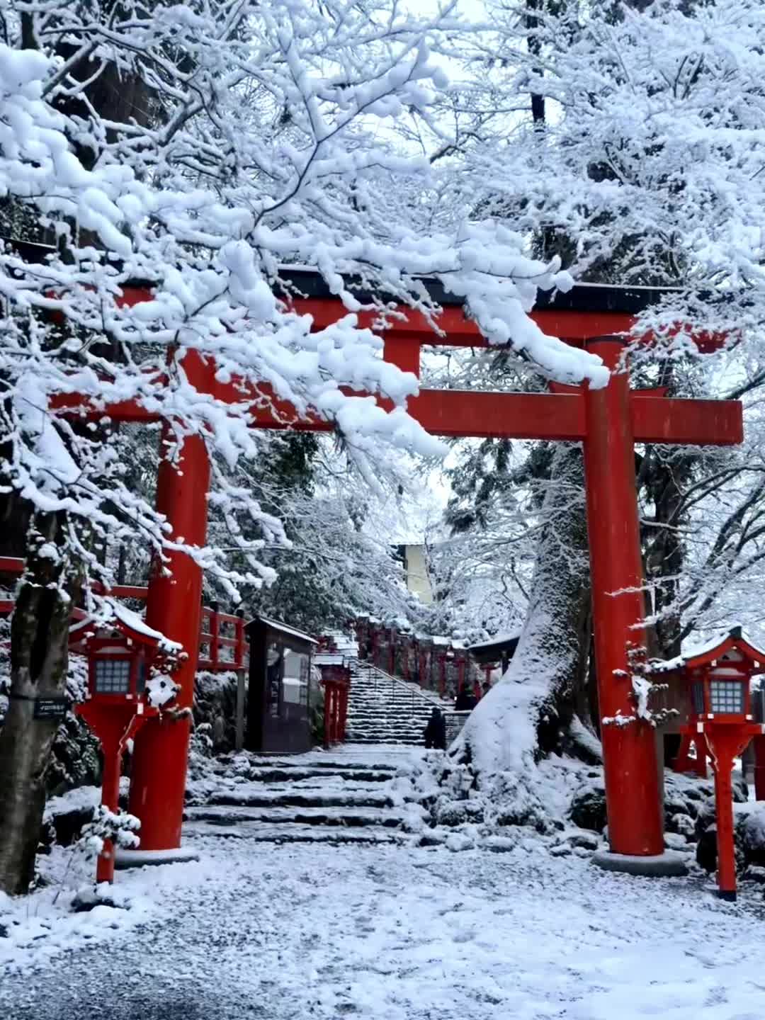 2.23实拍！暴雪后的京都真的美哭了… 凌晨四点半起床 坐上了第一班叡...