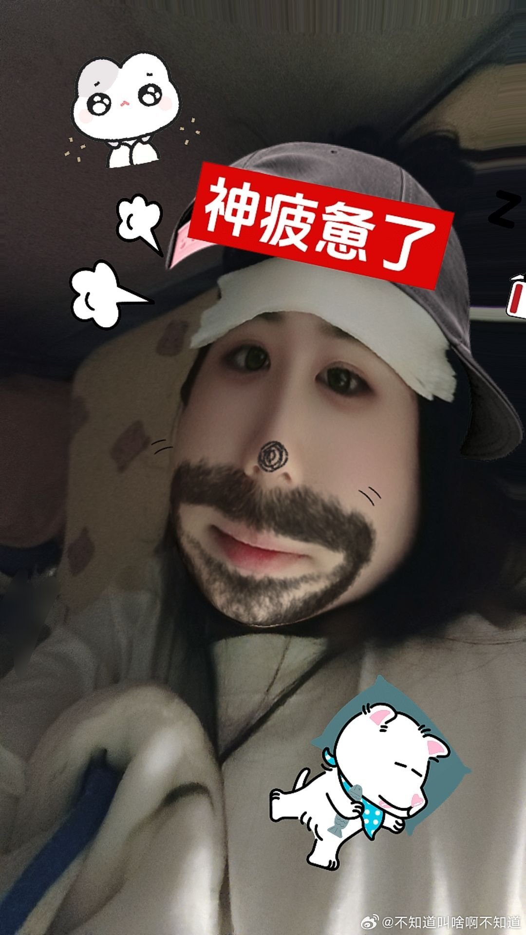 有一只羊烧了三天38扛不住终究还是在刚刚请假了 