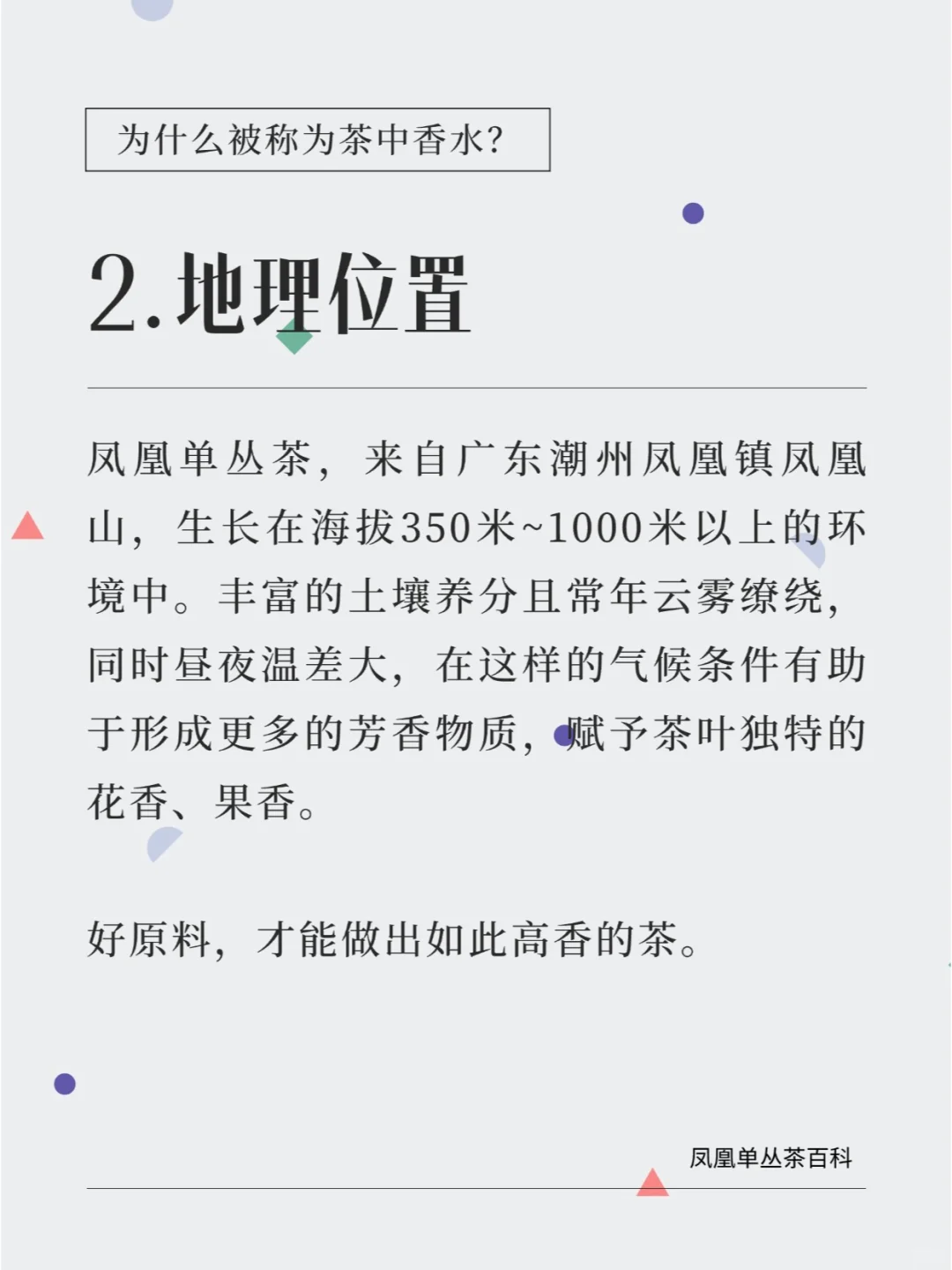 为什么凤凰单丛被称为：茶中香水❓真相是……