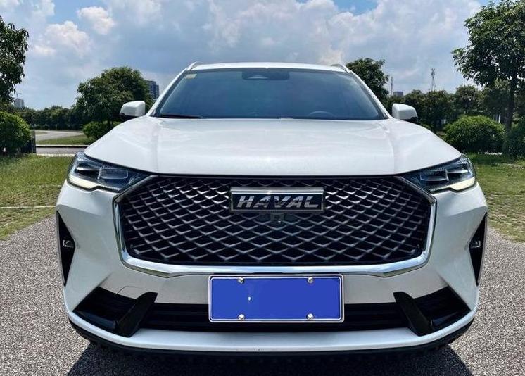 我买的是哈弗H6 2021款 第三代 1.5T 双离合 Pro。买车2个月了，平
