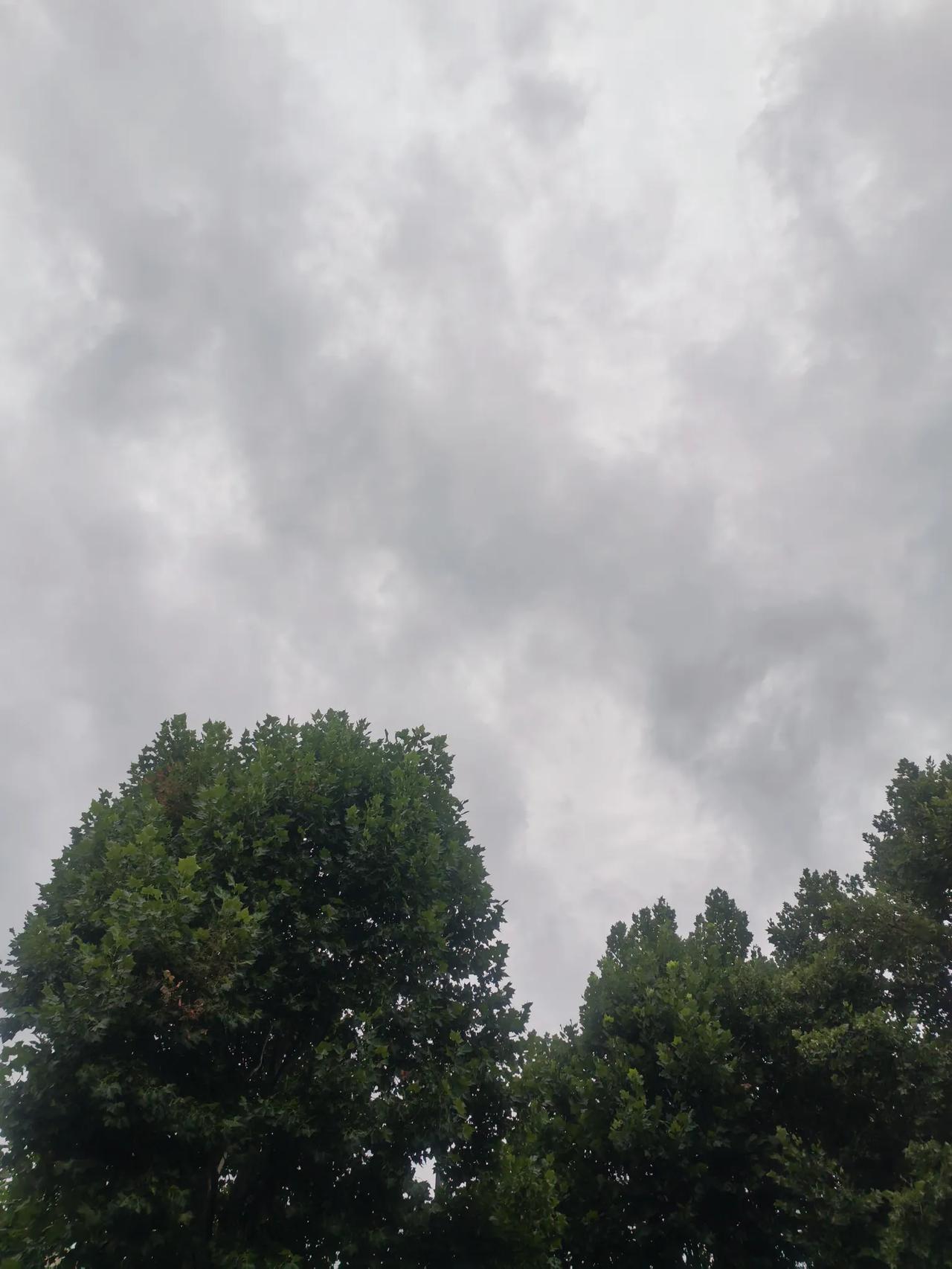 可以分享一张你拍的天空美照吗昨天下午这云看着怪吓人，黑压压一层，以为要泼大雨，结