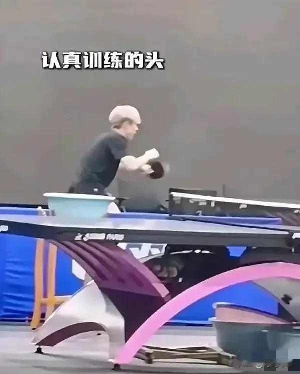 破案了！当大家都在猜测大头的头发会染回来时没想到今日训练的大头依然我行我素，继续