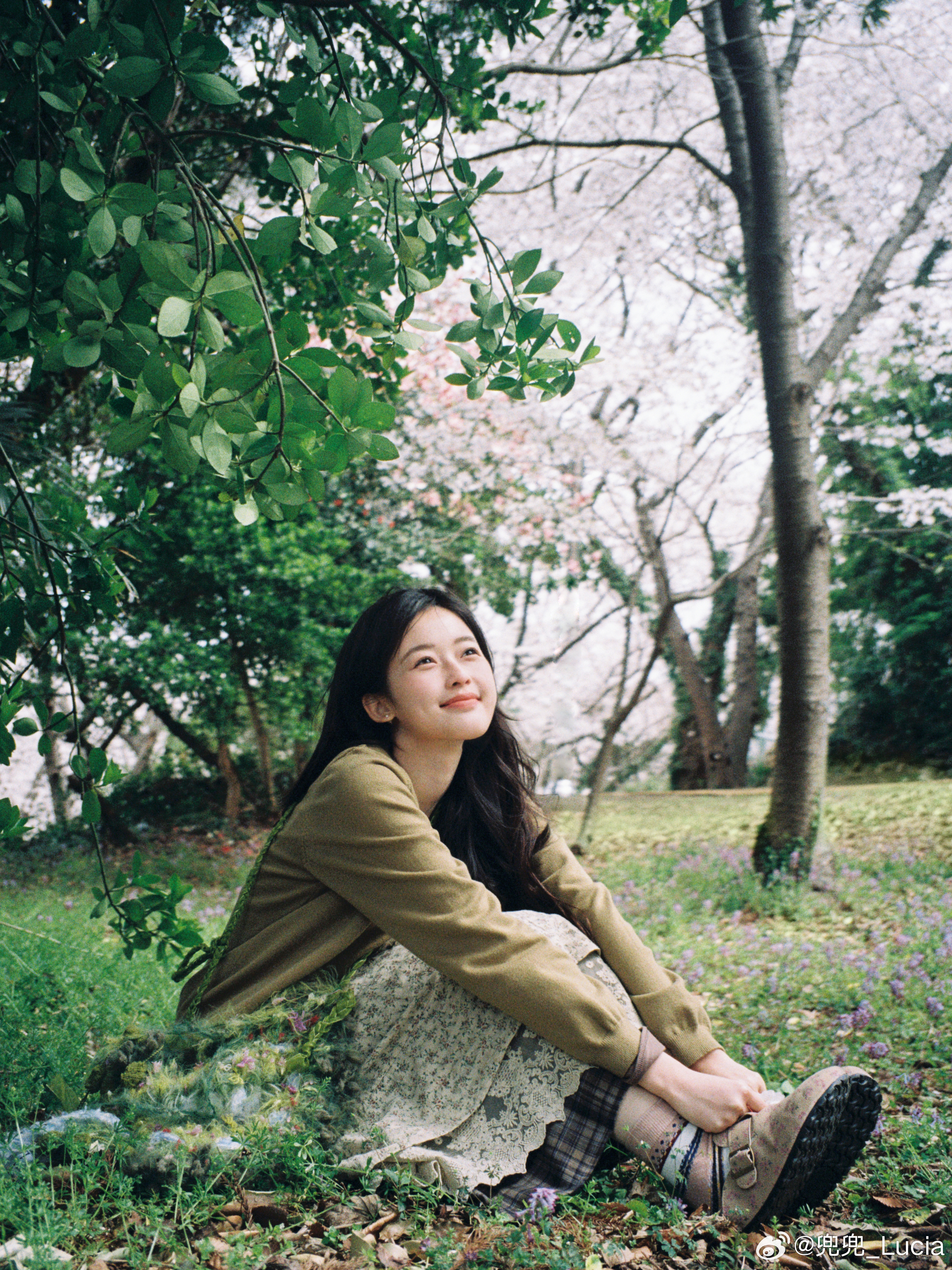在春天的济州岛按下的快门🌸济州岛春天治愈系摄影 ​​​