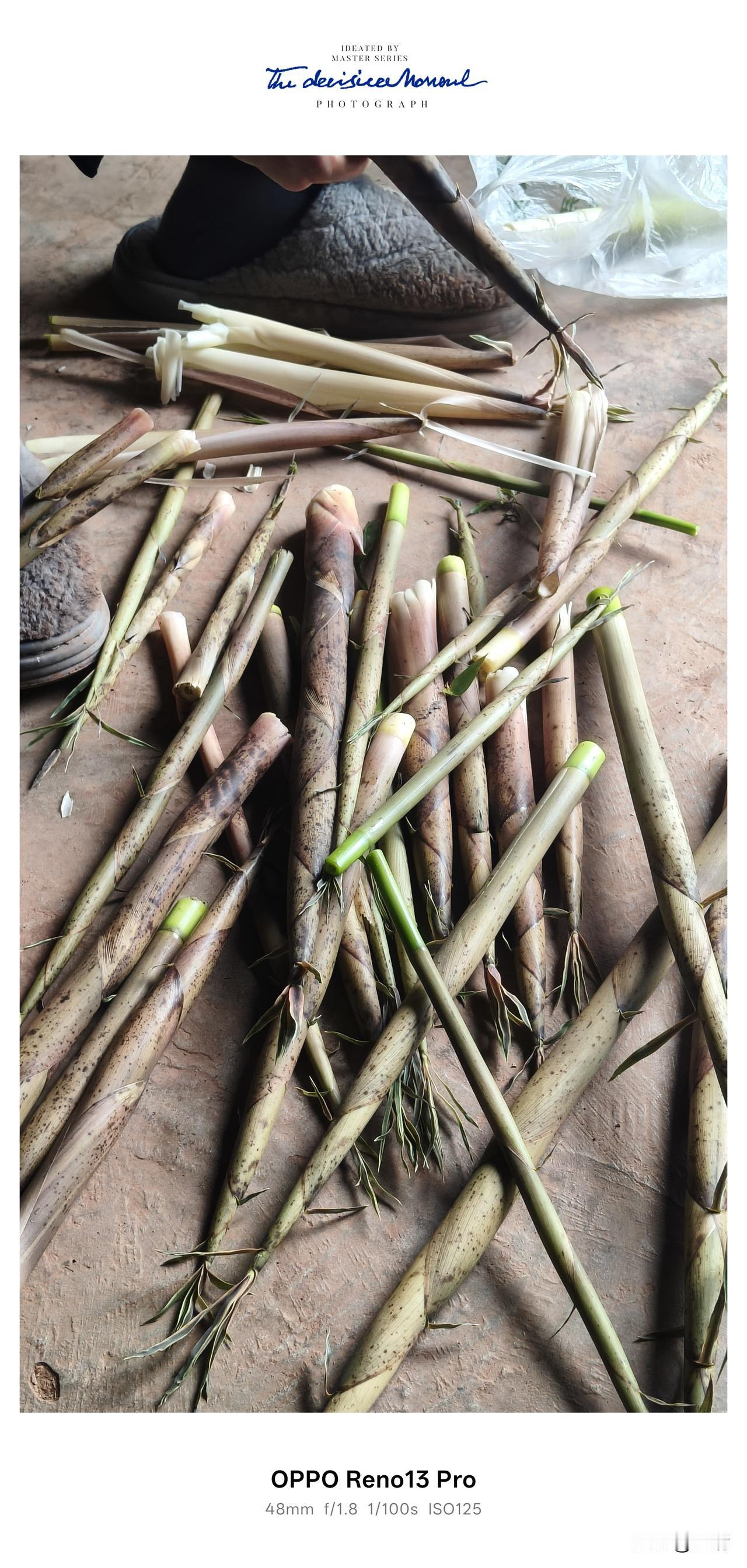 又是吃笋子一天，在农村，每天出门就有收获，吃新，吃奇，吃野，这是在农村的特色！吃