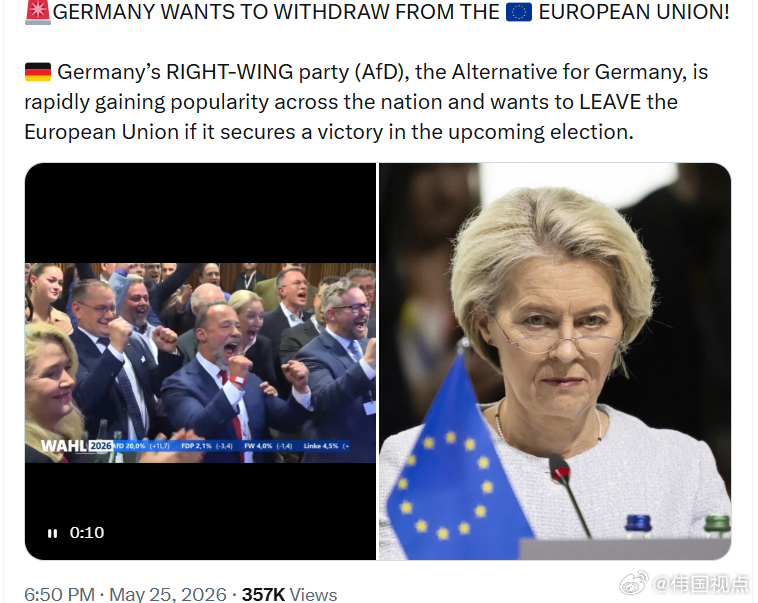 德国选择党(AfD)表示如果在即将到来的选举中获胜，将推动德国退出欧盟。 