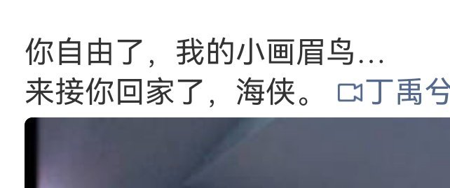 没有“张”，没有“虾”……最后的最后终于自由地做回自己“海侠” 