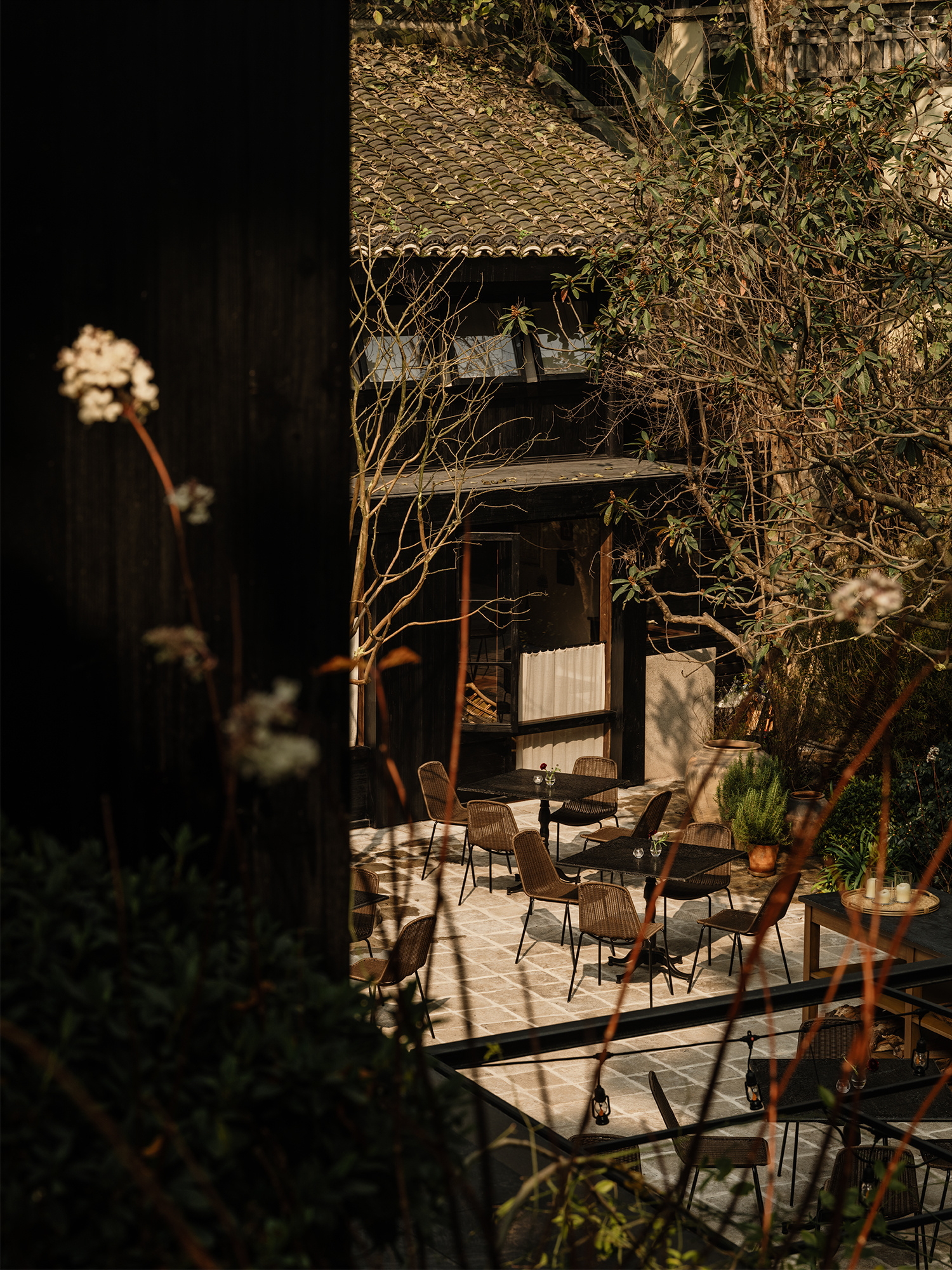 山山院子山城南山下，青黛叠翠中，历经17个月磨砺，Lulu姐的新店“千呼万唤”始