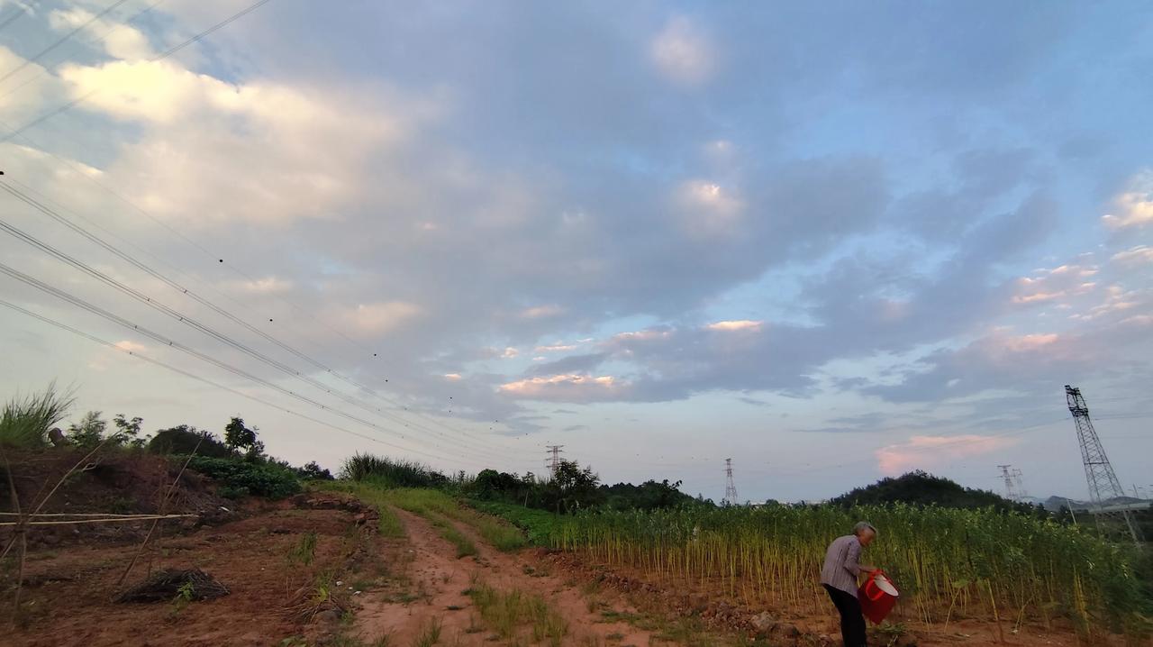 分享你随手拍得风景晚霞日落的风景