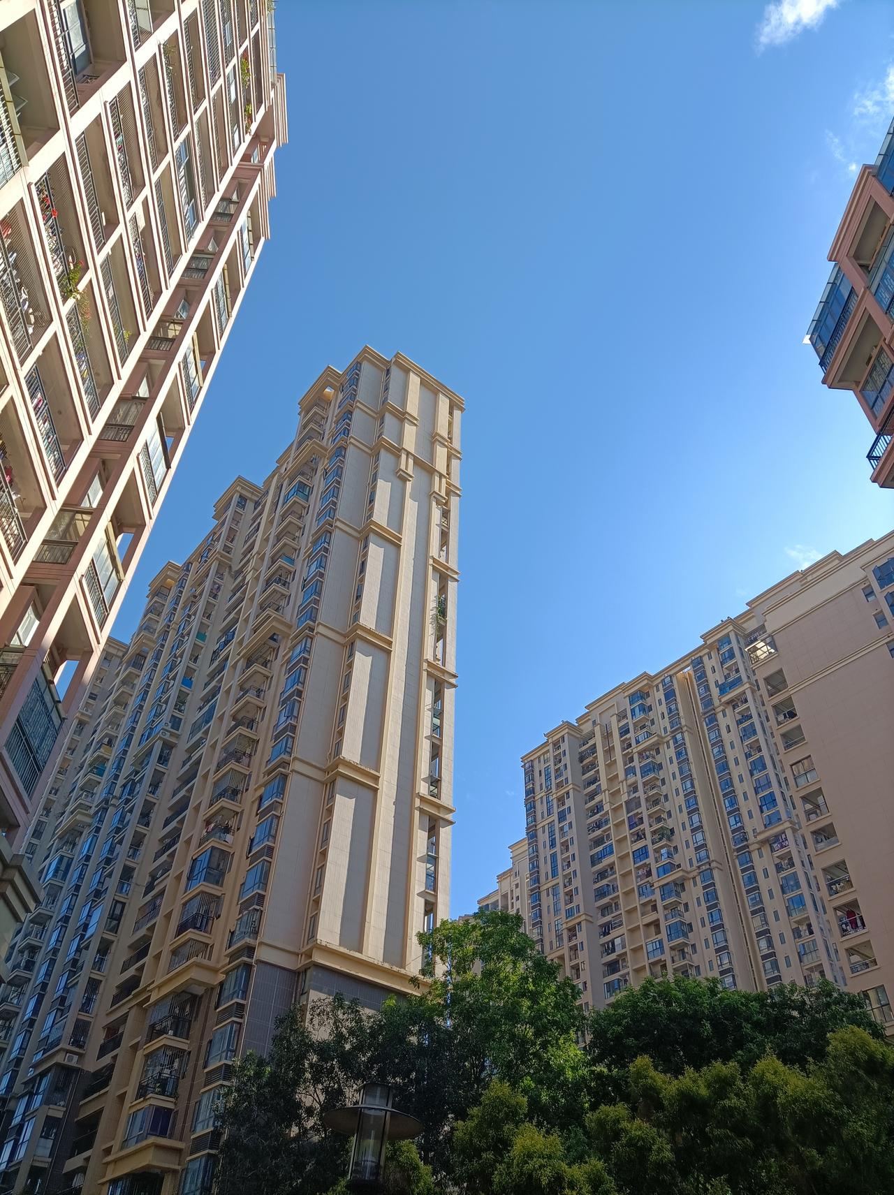 相册里最满意的照片昨日下去拿快递，在小区里拍的蓝天，实在太美了！