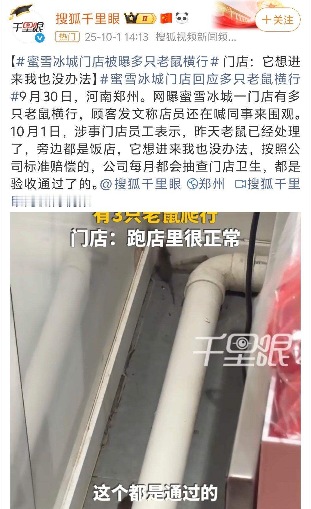 蜜雪冰城门店 老鼠横行这比隔夜柠檬水严重多了，老鼠横行真是挺让人无语的，隔壁的饭