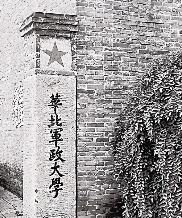 大元帅叶剑英为何总是亲自处理各种杂事？揭秘这位历史人物独特的管理习惯与工作方式！