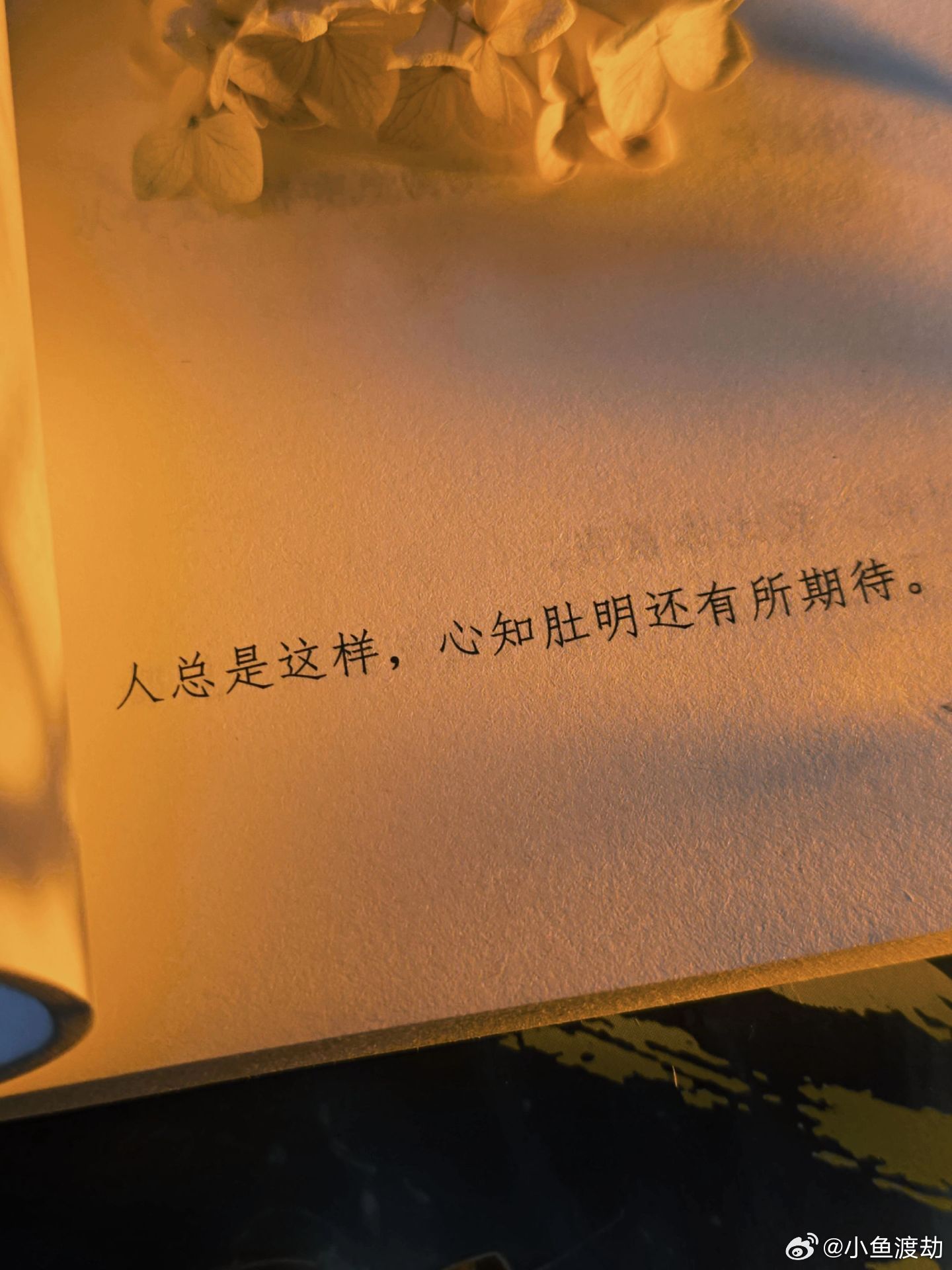 明知不可能，你还在期待什么？“人总是这样, 心知肚明还有所期待。” 
